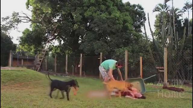 Приколюха #215