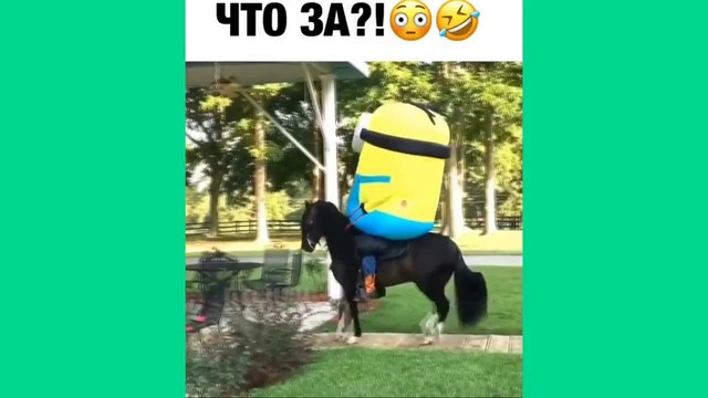 Лучшие вайны 2017 Подборка лучшие Казахстанские и Русские вайны