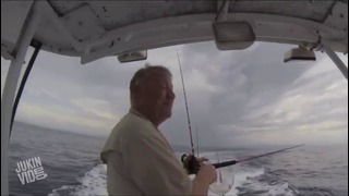 Поймали шуструю Акулу – Рыба мечты