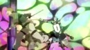 Sworld Art Online (AMV)