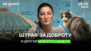 Смерть пенсионерки, Ташкент столица модернизма, новая BRT-линия | Итоги недели