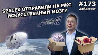 173 – Илон Маск боится падения акций Tesla, прототип Марсианского корабля готов к прыжку