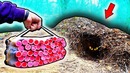 Что если в берлоге взорвать 50 самых мощных петард корсар 12