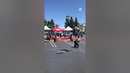 Skateboard skills level: expert! #backflips