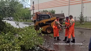 Прилетело по России. Ураган разнес Читу: гроза и ветер срывали крыши и валили деревья