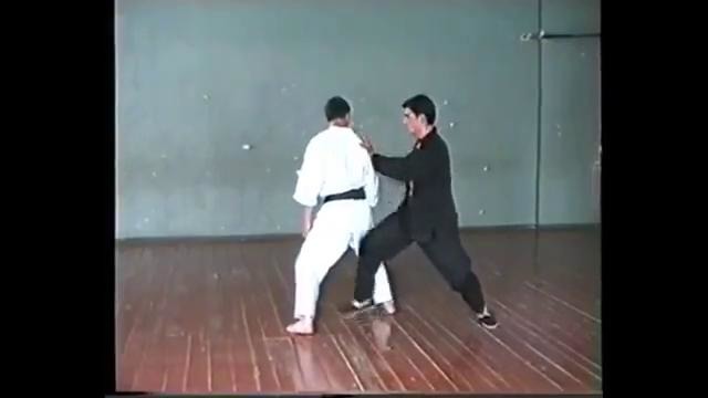 Jeet Kune Do – Vladimer Iashvili – video 1998