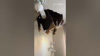 This is your reminder to get renter’s insurance #landlord #rent #fail #fails #shorts