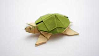 Черепаха Оригами | Origami Turtle (Marc Vigo)