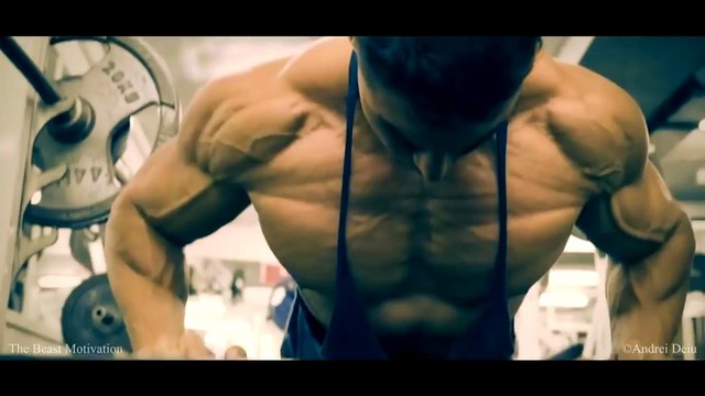 Andrei Deiu ¦ Motivation 2018