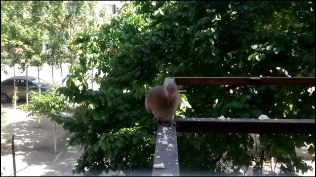 Timelapse во дворе