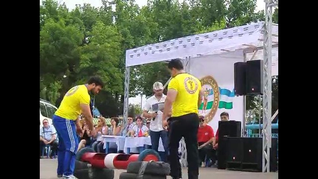 WSF Proform 2013 ( Log Lift (2))