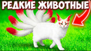 Самые Редкие Животные Планеты