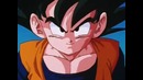 Dragon Ball Z – 251 Серия