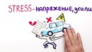 Научпок – Вредно ли нервничать