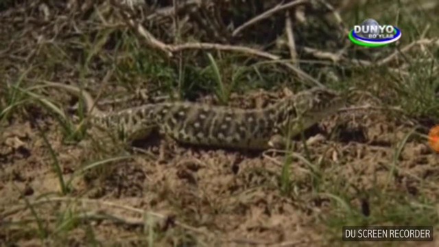 ФАО Марказий Осиё чўлларни сақлашда кўмаклашади