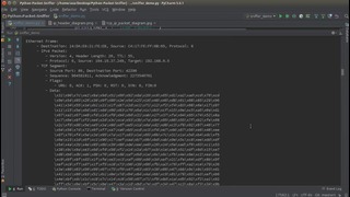 Python Network Packet Sniffer Tutorial – 7 – Running the Program