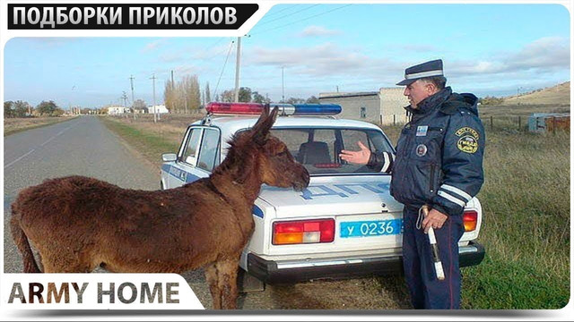 ПРИКОЛЫ 2023 ФЕВРАЛЬ РЖАКА ДО СЛЕЗ УГАР ПРИКОЛ – ПРИКОЛЮХА