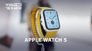 Первый обзор Apple Watch 5 — лучший экран