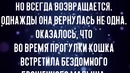 Кошка ушла гулять и принесла домой котенка