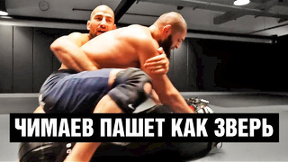 Чимаев пашет перед боем против Косты / Подготовка к бою на UFC 294