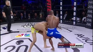 David Branch vs Louis Taylor – WSOF 34 – Middleweight Title Fight