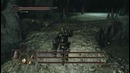 Прохождение Dark Souls 2 Crown of the Sunken King — Часть 3 Боссы Скорбящая, Варг, Ц