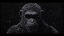 Первый тизер фильма «Война планеты обезьян»