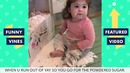 Try not to laugh challenge – epic kids fails compilation