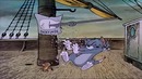 Том и Джерри 6-сезон 16 из 21 (США 1940-2005)