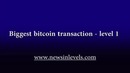 Biggest bitcoin transaction – level 1