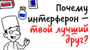Почему ИНТЕРФЕРОН — твой лучший ДРУГ? — Научпок