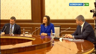 Shavkat Mirziyoyev Amerika-O’zbekiston savdo palatasi raisini qabul qildi