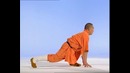 SHAOLIN KUNG-FU. 11 Упражнения Идзидзин