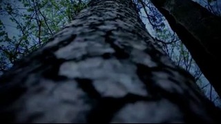 Lumen – Тень (Official Video)