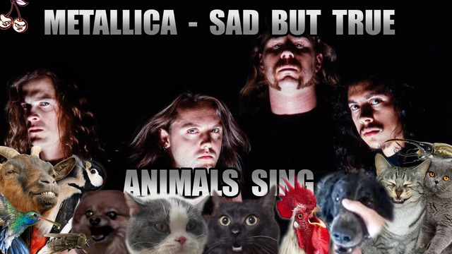 Metallica – Sad But True (Animal Cover)