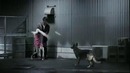 Реклама) ну скажем о любви