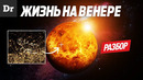 ЖИЗНЬ НА ВЕНЕРЕ ЕСТЬ?! | РАЗБОР