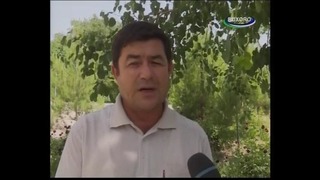 Суд департаменти Бухоро вилояти Худудий бошкармаси комунал тадбирлари