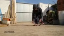Like a boss compilation #41 Amazing videos 7 minutes