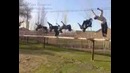 Parkour Jizzax