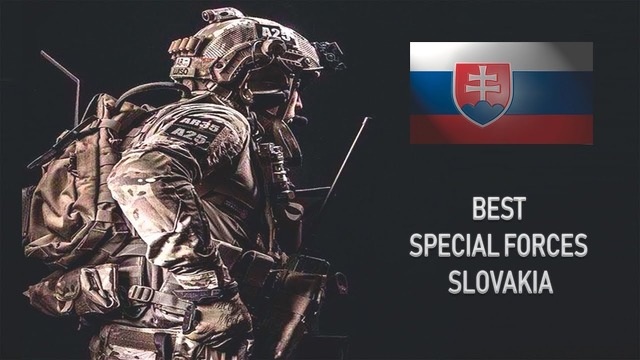 Лучшие специальные вооружённые силы Словакии
