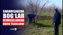 Shahrisabz tumanida bogʻlari buzilgan fеrmеrlar hokimdan norozi