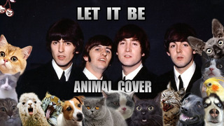 The Beatles – Let It Be (Animal Cover)
