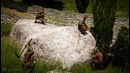 Клуб игропутешествий! Black Desert, Все пути ведут к морю