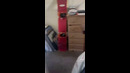 PRANKING MY DAD
