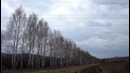 Искрануло ВЛ