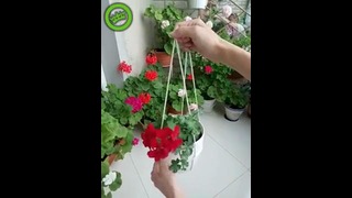 Простой способ подвесить горшок с цветком