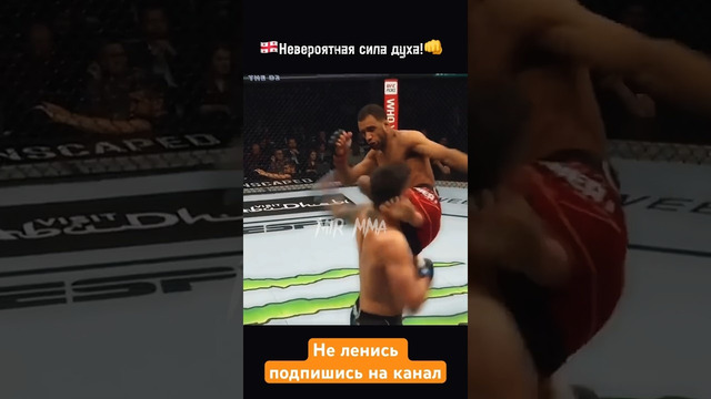 Этот Боец точно станет звездой UFC! Илия Топурия. Боец с львиным сердцем! #shorts