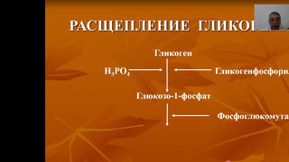 1 и 2 курсы. Биологическая химия. Обмен углеводов