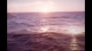 Красота морей